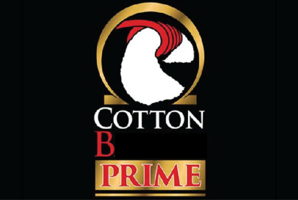 Wick N Vape Cotton B Prime